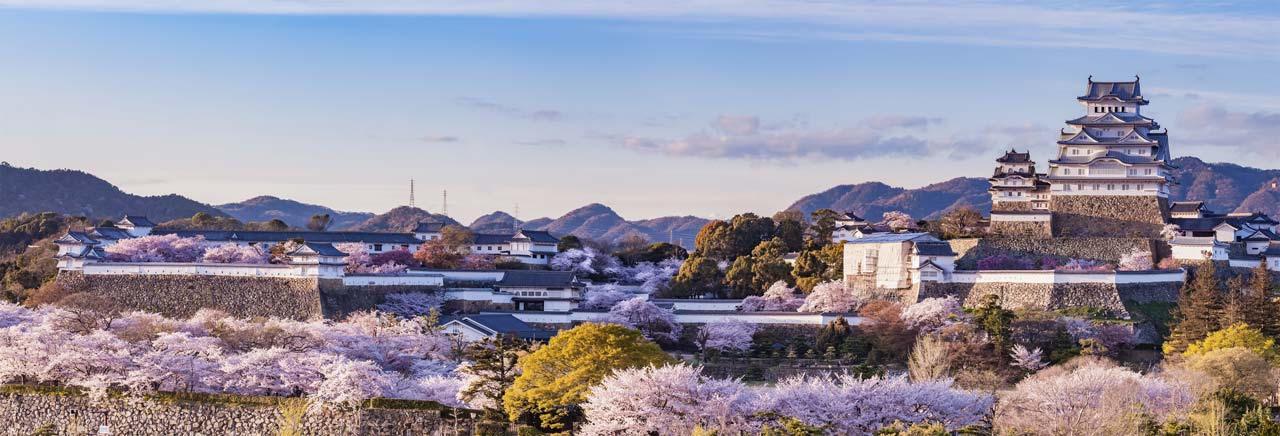 Picture of a castle in Japan